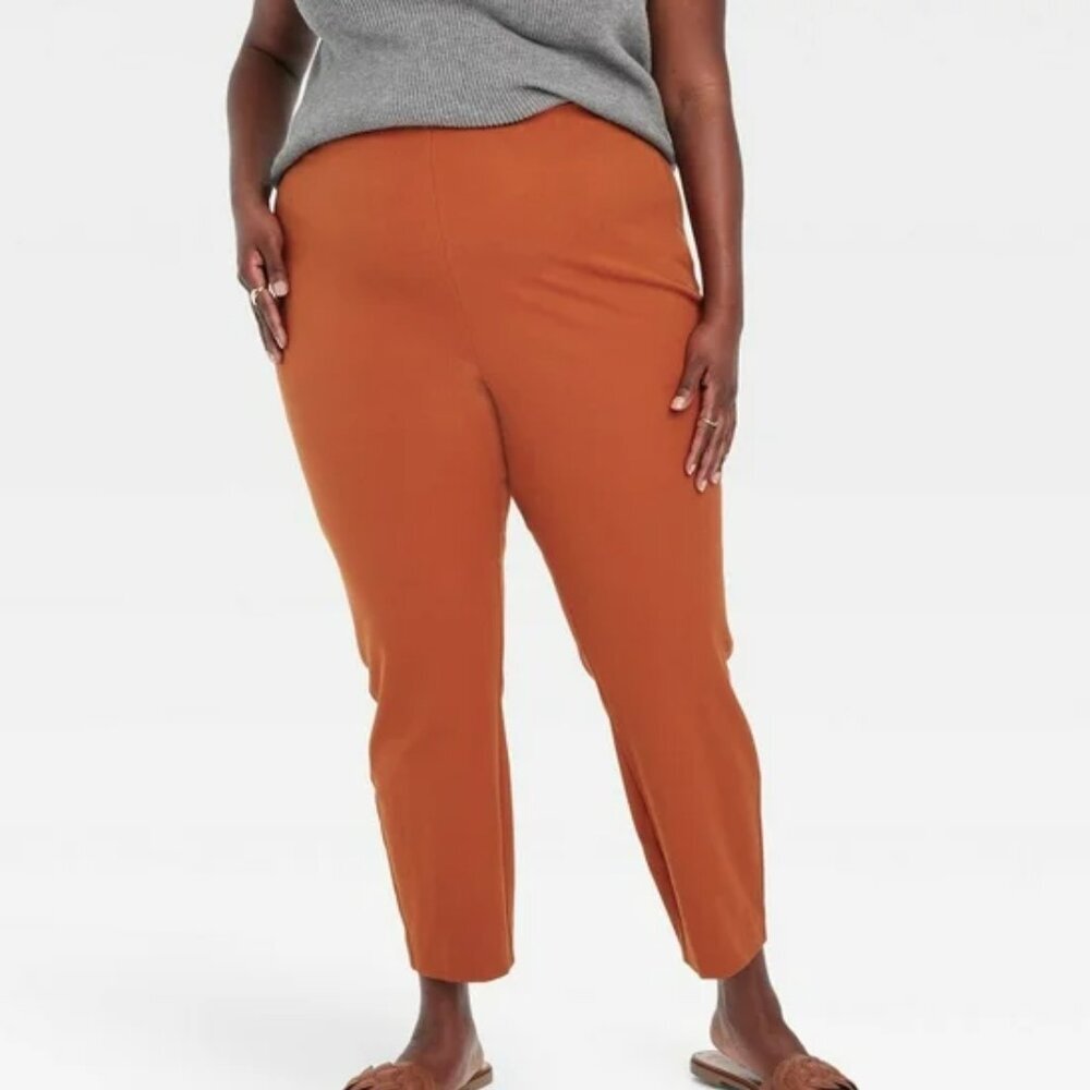 NWT Women's High-Rise Skinny Ankle Pull-On Pants - A New Day Brown